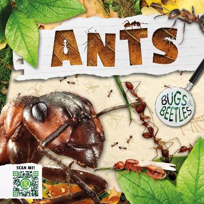 Ants book