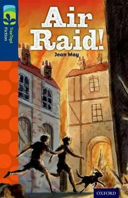 Oxford Reading Tree TreeTops Fiction: Level 14 More Pack A: Air Raid! book