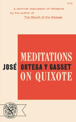 Meditations on Quixote book
