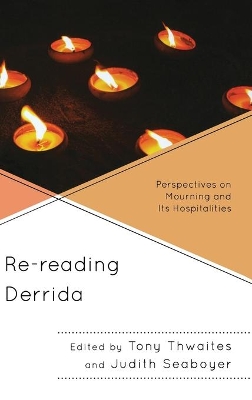 Re-reading Derrida book
