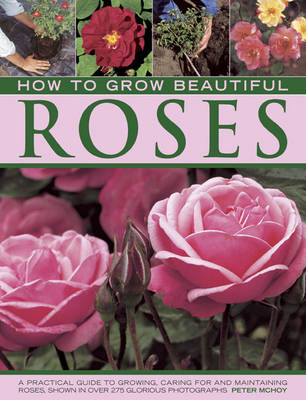 How to Grow Beautiful Roses book