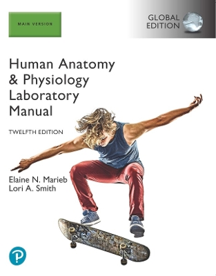 Human Anatomy & Physiology Laboratory Manual, Main Version, Global Edition book