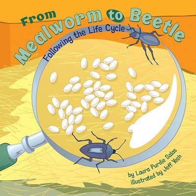 From Mealworm to Beetle book