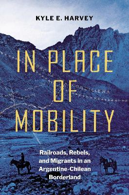 In Place of Mobility: Railroads, Rebels, and Migrants in an Argentine-Chilean Borderland book