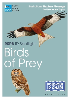 RSPB ID Spotlight - Birds of Prey book