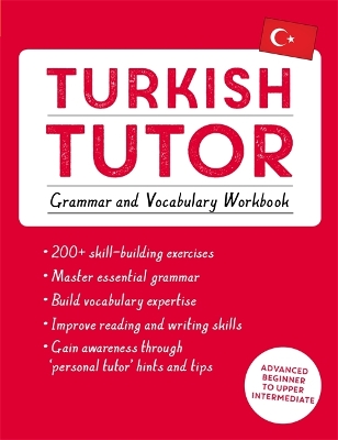Turkish Tutor: Grammar and Vocabulary Workbook (Learn Turkish with Teach Yourself): Advanced beginner to upper intermediate course book