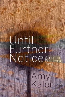 Until Further Notice: A Year in Pandemic Time book