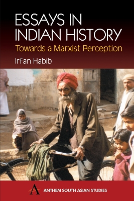 Essays in Indian History by Irfan Habib