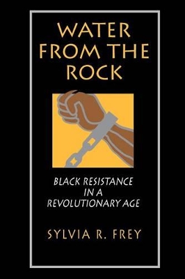 Water from the Rock by Sylvia R Frey