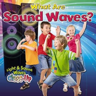 What are Sound Waves? book