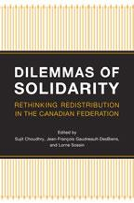 Dilemmas of Solidarity book