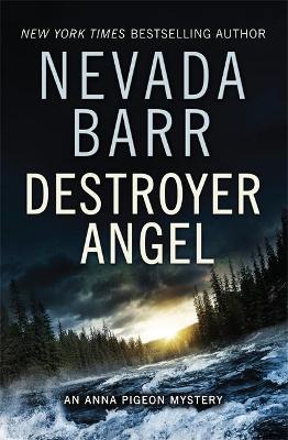 Destroyer Angel (Anna Pigeon Mysteries, Book 18) book