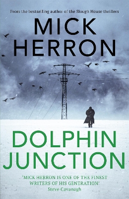 Dolphin Junction by Mick Herron