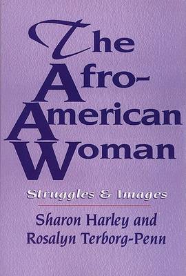 Afro-American Woman book