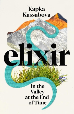 Elixir: In the Valley at the End of Time book