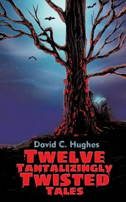 Twelve Tantalizingly Twisted Tales book