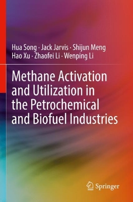 Methane Activation and Utilization in the Petrochemical and Biofuel Industries book