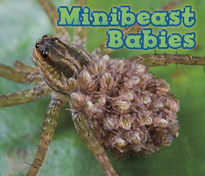 Minibeast Babies by Catherine Veitch