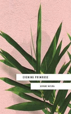 Evening Primrose: a heart-wrenching novel for our times by Kopano Matlwa