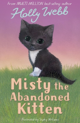 Misty the Abandoned Kitten book