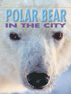 Polar Bear in the City book