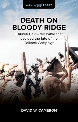 Death on Bloody Ridge: Chunuk Bair - the battle that decided the fate of the Gallipoli Campaign book