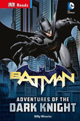 DC Comics Batman Adventures of the Dark Knight book