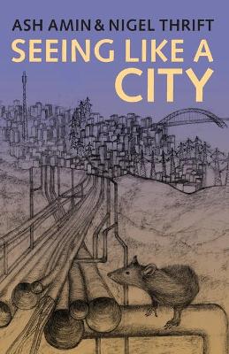 Seeing Like a City by Ash Amin