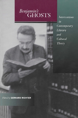 Benjamin's Ghosts book