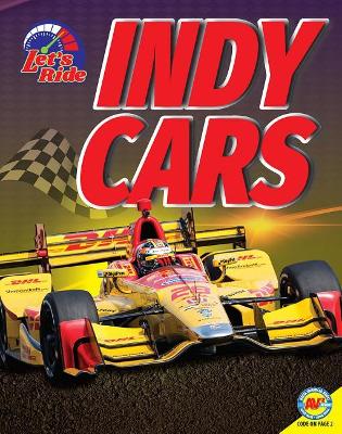Indy Cars by Wendy Hinote Lanier