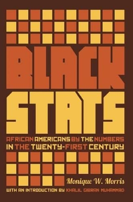 Black Stats: African Americans by the Numbers in the Twenty-First Century book