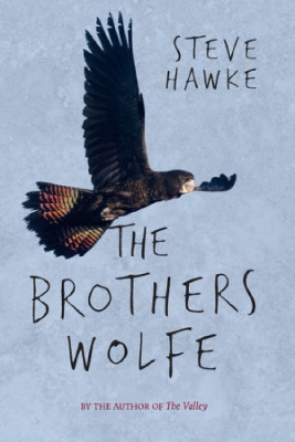 The Brothers Wolfe book