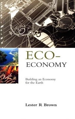 Eco-Economy book
