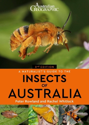 A Naturalist's Guide to the Insects of Australia book