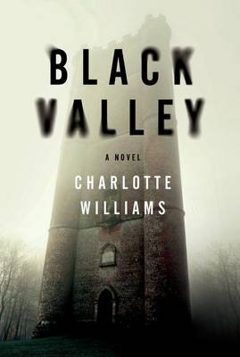 Black Valley book