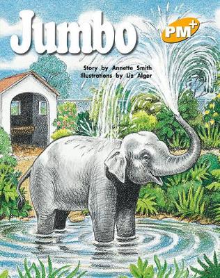 Jumbo book