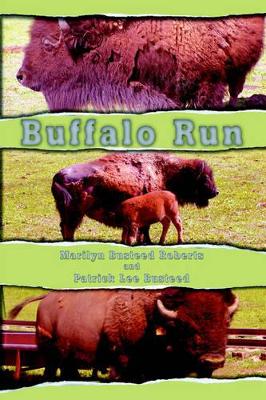 Buffalo Run by Marilyn Busteed Roberts