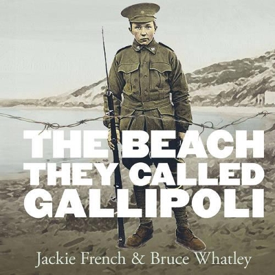 Beach They Called Gallipoli book