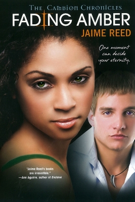 Fading Amber book