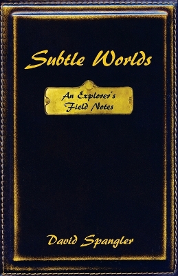 Subtle Worlds book