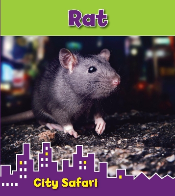 Rat by Isabel Thomas