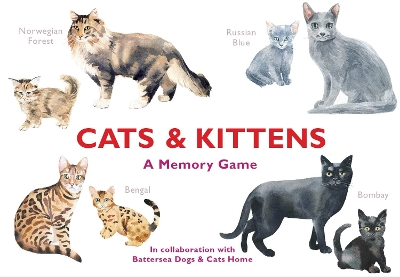 Cats & Kittens: A Memory Game book