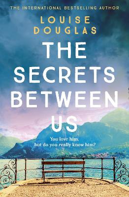 The Secrets Between Us book