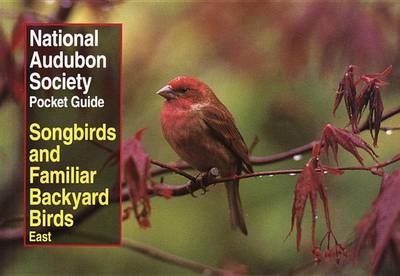 National Audubon Society Pocket Guide to Songbirds and Familiar Backyard Birds: Eastern Region: East book