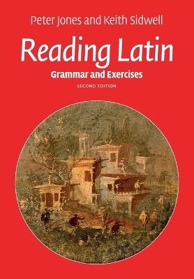 Reading Latin book