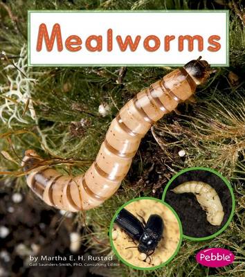 Mealworms book