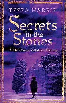 Secrets in the Stones book