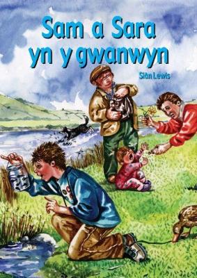 Cyfres Hwyl Drwy'r Flwyddyn: Sam a Sara yn y gwanwyn (Llyfr Mawr) book
