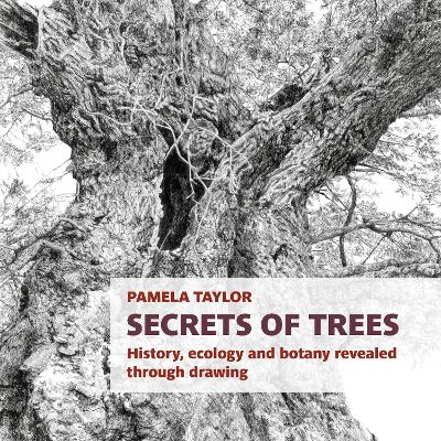 Secrets of Trees: History, ecology and botany revealed through drawing book