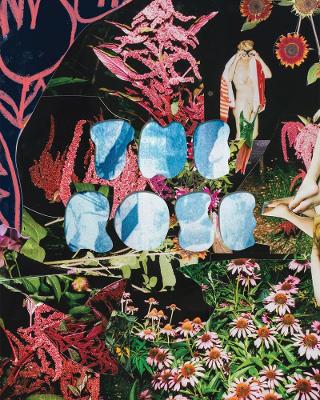 The Rose: A Circular Genealogy of Collage: Curated by Justine Kurland book